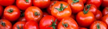 susz warzywny pomidor